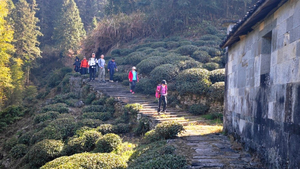 【5月1-3日/5月2-4日】徒步徽饶古道-弦高古城-水墨虹关古村落3天轻户外徒步