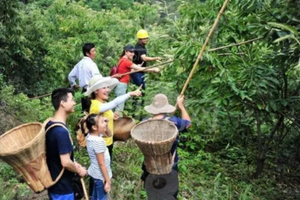 【9月21日】秋季打板栗，吃吊锅，登罗田塔山（会员特惠60元/人）