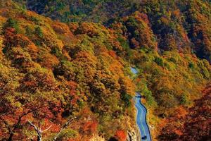 【11月15-16日】马丁公路-徒步马鬃岭-大湾村-燕子河-泡温泉 