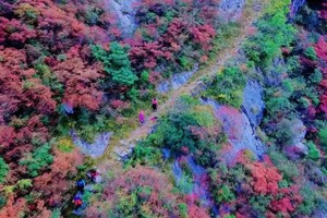 【12月20日晚-22日】徒步三峡之巅-危石鸟道-船游三峡 豪华大巴VIP2＋1头等舱（第二期）