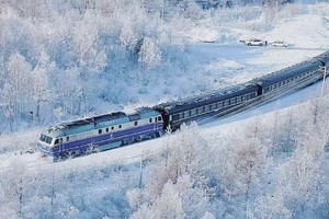 雪韵列车 |5天4晚 双卧往返 哈尔滨-漠河-北红村-北极村-圣诞村5日寻北之旅