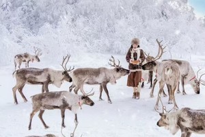 雪韵漠北 | 8天7晚 踏上“北国列车”赴一场与北极的“浪漫之约”8日活动