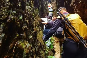 【4月5-6日】户外新线---探险霍山韭菜沟，徒步九峰十三洞，赏大美观音岩（会员特价298元/人）