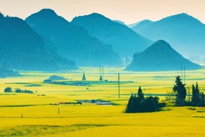 【春节A线】1月28-2月4日小众秘境滇东南-东川红土地、抚仙湖、建水古城、罗平油菜花、万峰林（2+1豪华旅游大巴）