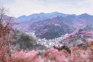 【2月28日晚-3月2日】 寻觅古韵仙境卖花渔村 探索道教圣地齐云山 漫步屯溪老街 （2+1豪华旅游大巴）