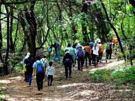 【12月14日|周日】徒步武汉郊野天花板，东湖秘境七山连纵户外一日游（转发即可免费）