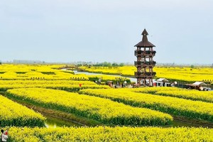 【4月3晚-6日】烟花三月下扬州，醉美江南（2+1豪华旅游大巴）