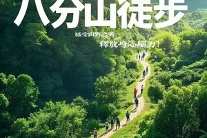 【每周公益|3月20日】网红打卡点·寻迹武汉，江夏八分山徒步登山（转发即可免费）