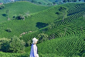 【4月4-5日】  登信阳鸡公山，品文新茶村正宗毛尖，看豫南小江南郝堂村（会员特价298元/人）