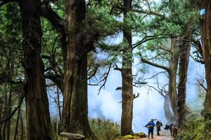 【端午徒步|5月29日-6月2日】走千年古蜀道，探寻三国古遗迹（2+1豪华旅游大巴）