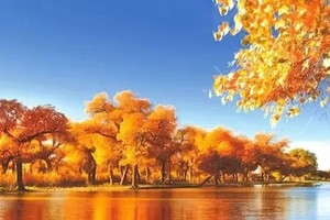 【金秋额济纳】武汉起止额济纳醉美胡杨林、居延海、策克口岸、波浪谷、雨岔、张掖七彩丹霞