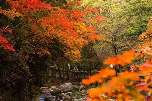 【辽吉秋色】赴世界枫叶之都 赏最美红叶 邂逅顶级秋色 中朝边境带你趣旅行7日行