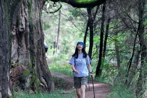 【10月2-7日】国庆古蜀道，诸葛古镇-千佛崖-昭化古城-剑门关-翠云廊-古蜀道-拦马墙-西安古城6天