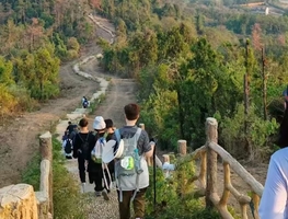 【12月13日|周六】探索城市绿肺：经典青龙山徒步之旅（转发即可免费）