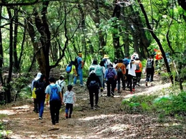 【1月10日|周六】徒步武汉郊野天花板，东湖秘境七山连纵户外一日游（转发即可免费）