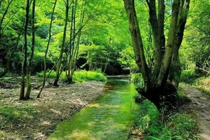 【5月25日 |周日】网红咸宁小九寨 峡谷飞瀑 绿野仙踪 户外溯溪徒步一日行