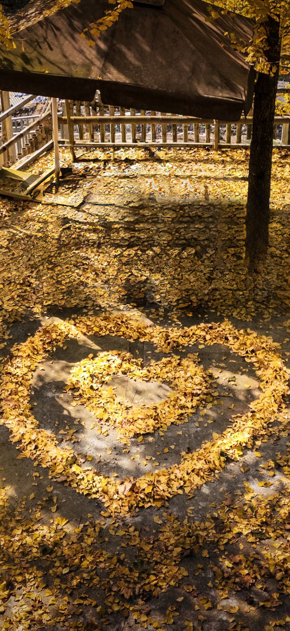 GjmJplvcg12gL8pVVfyNbqjgplu2f0QnGZKr1smpE8o-Oh4pJb2NArldnovPKYWW