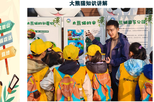 【春假2日独立营-国家大熊猫公园野外巡护】当一个小小巡护员，安装红外相机，种植熊猫竹，挖野菜打竹笋，萌宠乐园游玩！