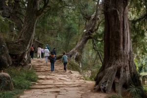 【春假-古蜀道2日游】梦回秦汉，踏上世界交通史上的活化石！