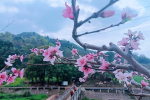 【3月21日-龙泉山登山拉练赏花】从罗家湾水库穿越至钟家山步道，赏满山遍野的桃花！
