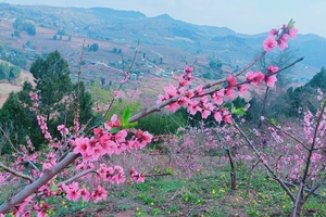 【3月22日-宝狮湖赏桃花】徒步龙泉山宝狮湖山脊线，赏桃花盛花期！