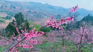 【3月22日-宝狮湖赏桃花】徒步龙泉山宝狮湖山脊线，赏桃花盛花期！