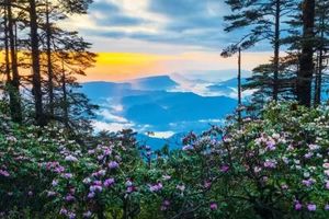 【4月25日-瓦屋山特惠】夯爆啦，穿越“绝壁上的画廊栈道”瀑布，摄影高山杜鹃花，美得不像话！最后一周免门票，冲冲冲！
