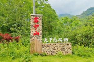 【5月3日78元特惠-雾中山绣球花+奖牌】在云雾中登山，摄影千年古寺开化寺至明月寺的绣球花，偶遇美丽云海！