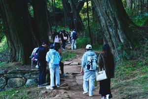 【五一节古蜀道鼓楼铺一日游天天发团】步入千年历史古道，打卡“世界交通史上的活化石”！