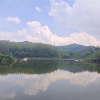 【10月11日-龙泉山打野】毛家口水库穿越至钟家山观景台，偶遇鸡枞菌和野果子！