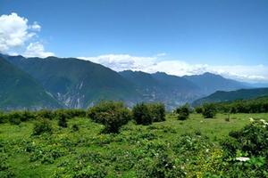 【5月17日熊猫坪】高原牧场迎来了最美的初夏风景，青草、野花、蓝天、白云、雪山、原始森林和您周末作伴！