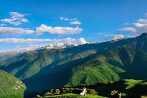 【二古溪端午二日游】到米亚罗的大草甸去看一看星空、日出、云海！