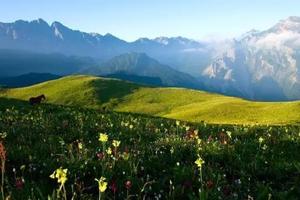 【九鼎山端午2日游】在万亩花海里露营，欣赏美丽的星空和云海！