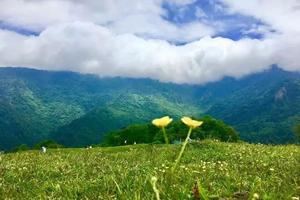 【高山草甸】最文艺的夏季网红地，天空之眼甘海子！