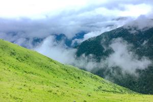 【格达包花海】云海下赏美丽花海，美丽而浪漫的休闲摄影穿越！