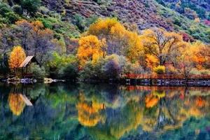 【小九寨松坪沟】三沟九海十四景的湖光彩林，是光与影的国画世界！