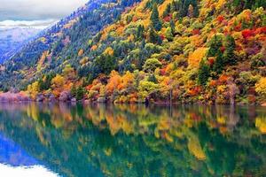 【黑水奶子沟彩林】八十里画廊，亚洲最大的彩林观赏区！