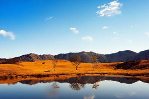 【金黄色的高山草甸】最文艺的深秋网红地，天空之眼甘海子！