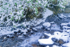 【阿尔沟一日游】美到窒息的原始秘境，阿尔沟的冬雪世界！