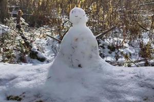 【卧龙冰雪世界】冰雪美拍，元旦节一日游！