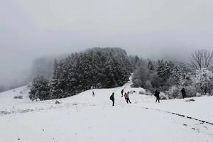【熊猫坪赏雪】在美丽的高山雪景玩耍，观气势雄伟的雪山和云海！