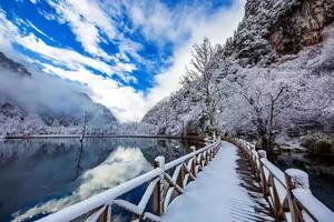【春节毕棚沟鹧鸪山】四川人的雪乡，一个梦幻的冰雪王国！