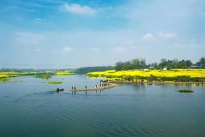 【小江南菜子花海一日游】摄影伴花海，吹花送远香！