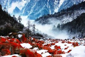 【清明佳节-海螺沟燕子沟】探寻远古冰川、红石美景、泡雪域温泉，享康巴风情！