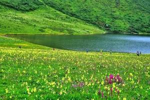 【端午节九顶山】漫步羌山花海，九顶山云海星空露营！