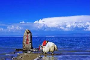 【暑期活动-大西北7天6晚】畅游丝绸之路，青海湖敦煌环线之旅！