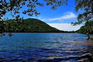 【彝海两日游】去湖边漫步，去大草原撒欢儿！