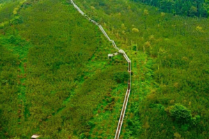 【柒月麓山】抓螃蟹，徒步天梯观十里竹海！