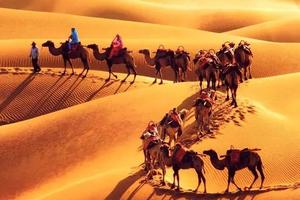 【国庆腾格里沙漠四日游】打卡66号公路，体验沙漠轻奢露营！