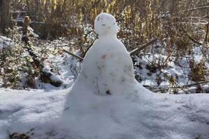 【巴朗山邓生沟】美丽的冰雪世界，一起打雪仗堆雪人！